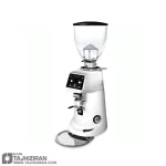 خرید آسیاب قهوه فیورنزاتو مدل اندیمند FIORENZATO F83 E